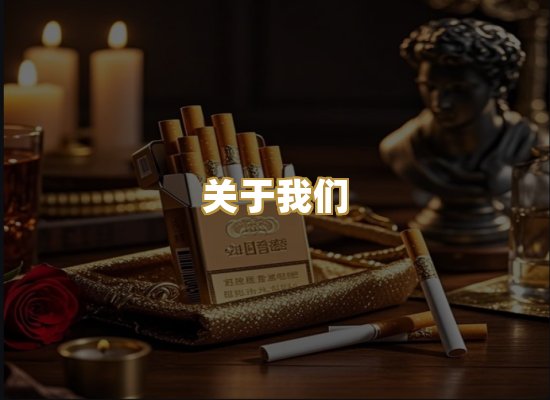 关于我们
